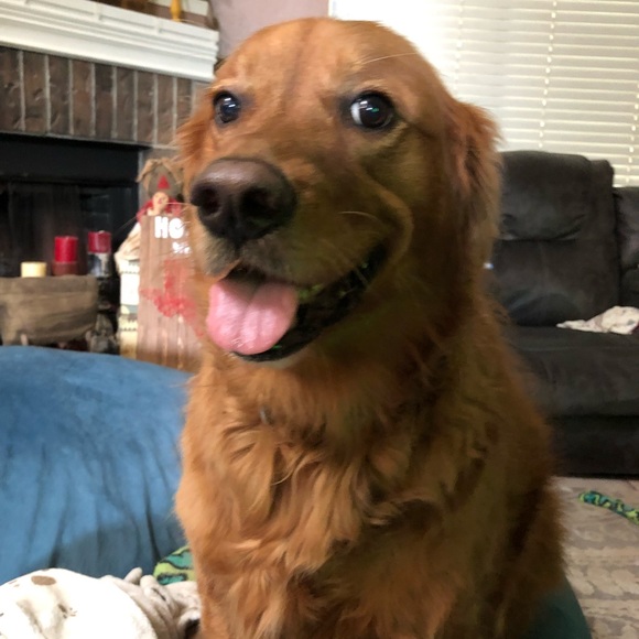 Meet your Posher, Natalie - Picture 1 of 1